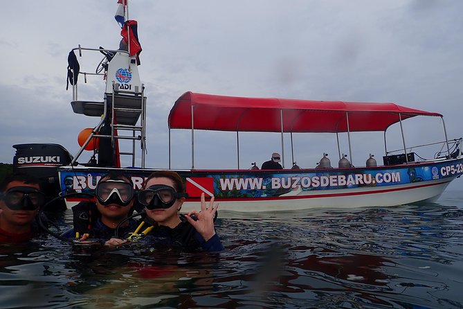 One-Day Diving Mini Course - Discover Scuba Diving - Training flow: optional pool prep plus calm on-board instruction