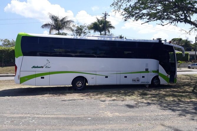 One way transfer from Pereira to Salento AND/OR Salento to Pereira - Why This Pereira to Salento Transfer Feels Like the Smart Move