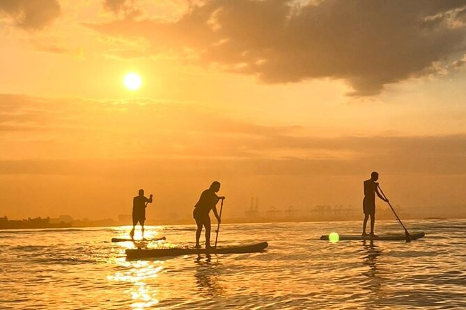 Paddleboard Tour - Meeting at El Laguito: No Hotel Pickup, Small Details Matter