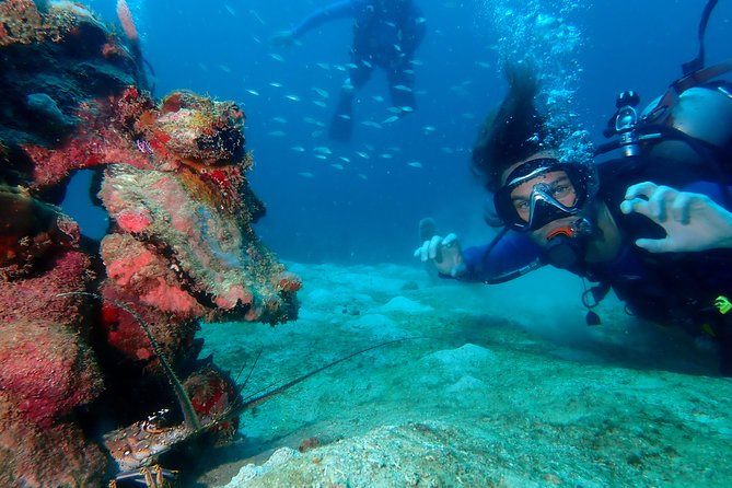PADI Open Water Diving Course - Key highlights at a glance