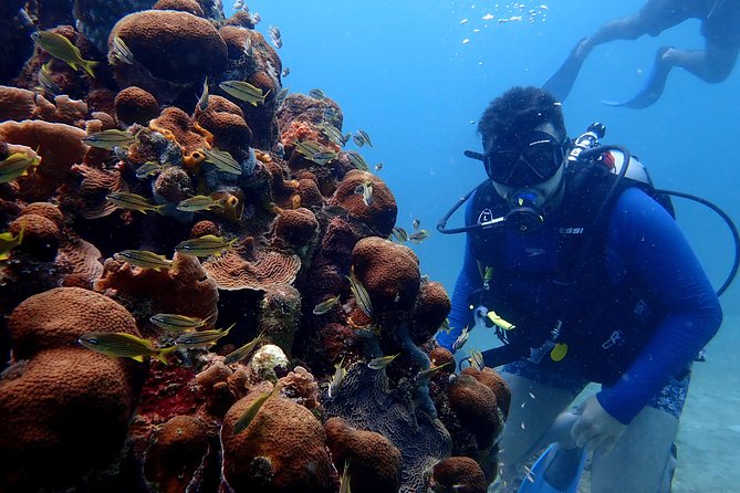 PADI Open Water Diving Course - Phase 3: Baru Island open-water sessions, 7:00 am to 1:30 pm