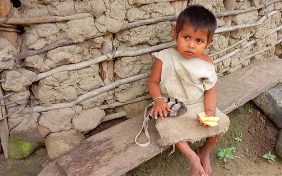 Palomino: Private Tour to Tungueka Indigenous Village - Key Highlights You Will Feel Immediately