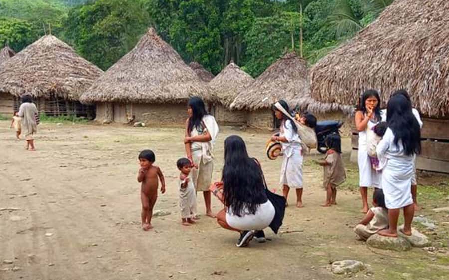 Palomino: Private Tour to Tungueka Indigenous Village - Rio Ancho River Swim: The Part Where Your Planning Pays Off
