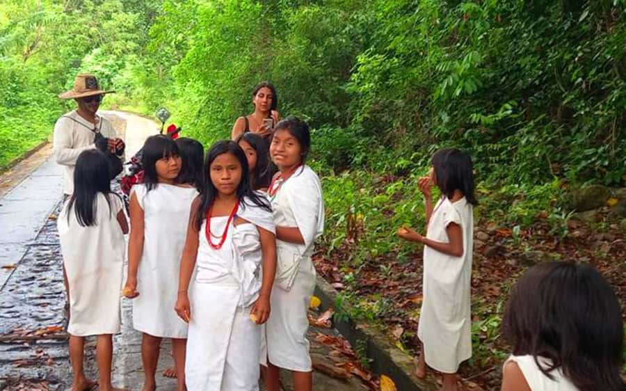 Palomino: Private Tour to Tungueka Indigenous Village - How the Flow Works: From Pickup to Village to River, in Plain Terms
