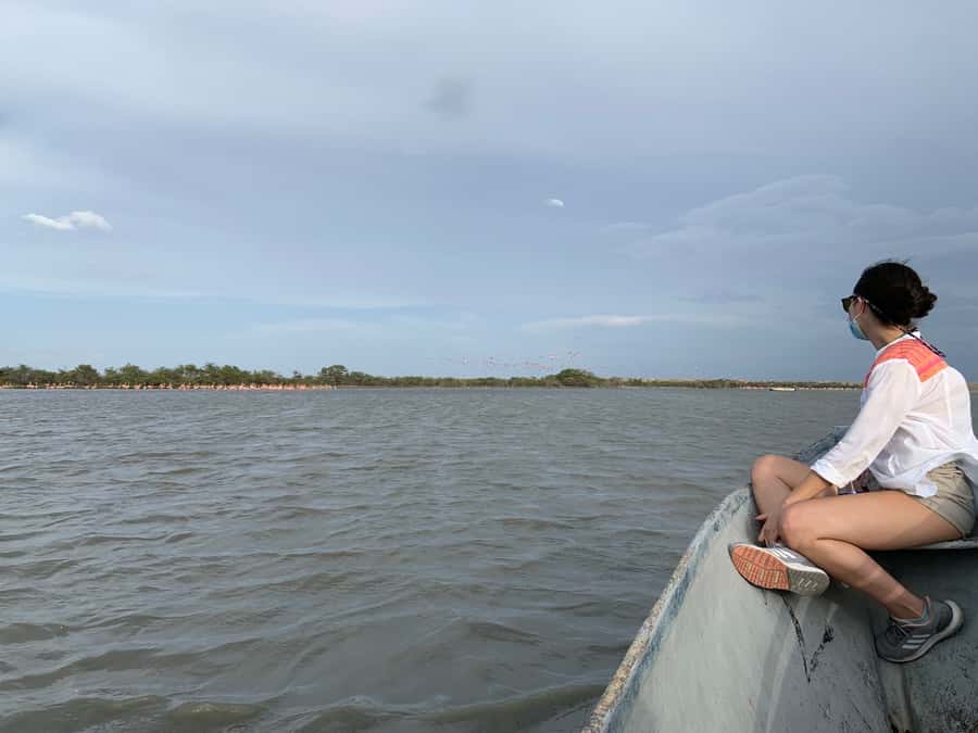 Palomino: Sanctuary of Flamingos Day Tour - Who Should Book This Flamingo Day Tour?