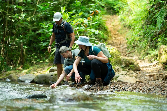 Pance Waterfalls: Hike to discover the biodiversity of the valley - Why Pance Waterfalls feels like a reset from Cali