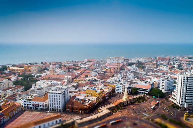 Panoramic & Shopping - Key highlights worth your attention