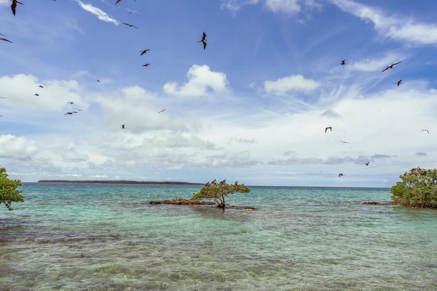 PAO PAO BEACH CLUB - What’s Included, What’s Not, and the Small Stuff That Matters