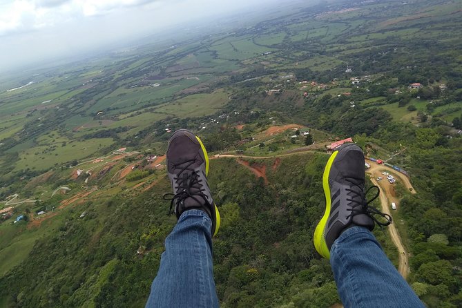 Paragliding + Wine tasting + Hacienda El Paraiso + Saint Helena - Key things that make this tour worth a look