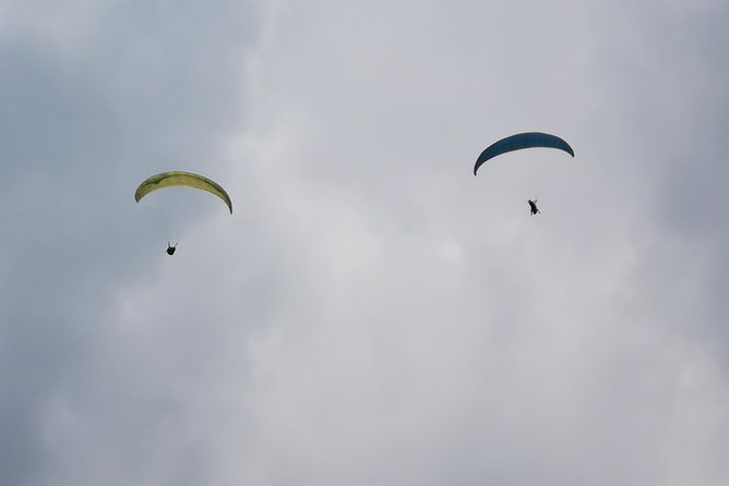 Paragliding + Wine tasting + Hacienda El Paraiso + Saint Helena - Who should book this tour, and who might prefer something else