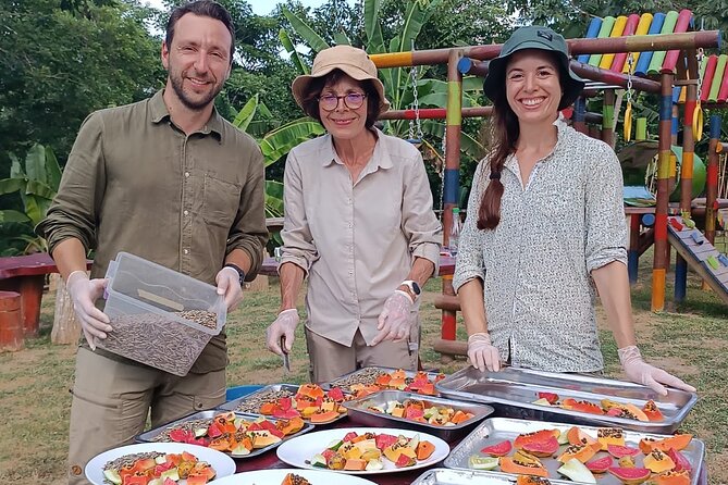 Parrot & Macaw Volunteering in a Wildlife Reserve Near Cartagena - The volunteering work that actually helps: bird meals, cassava, papaya