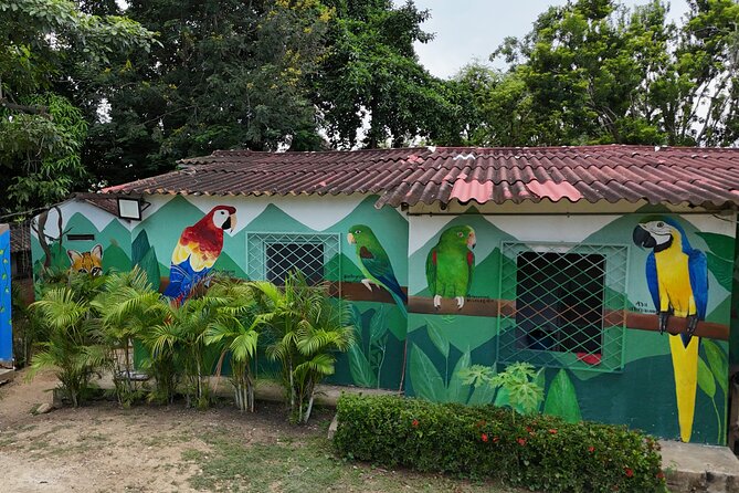 Parrot & Macaw Volunteering in a Wildlife Reserve Near Cartagena - Price and value: what $132 gets you, and what costs extra