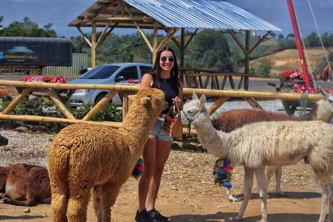 Peñol Stone and Pablo Escobar Hacienda Boat Tour - Alto del Chocho Farm Animal Time, and How Not to Get Overexcited