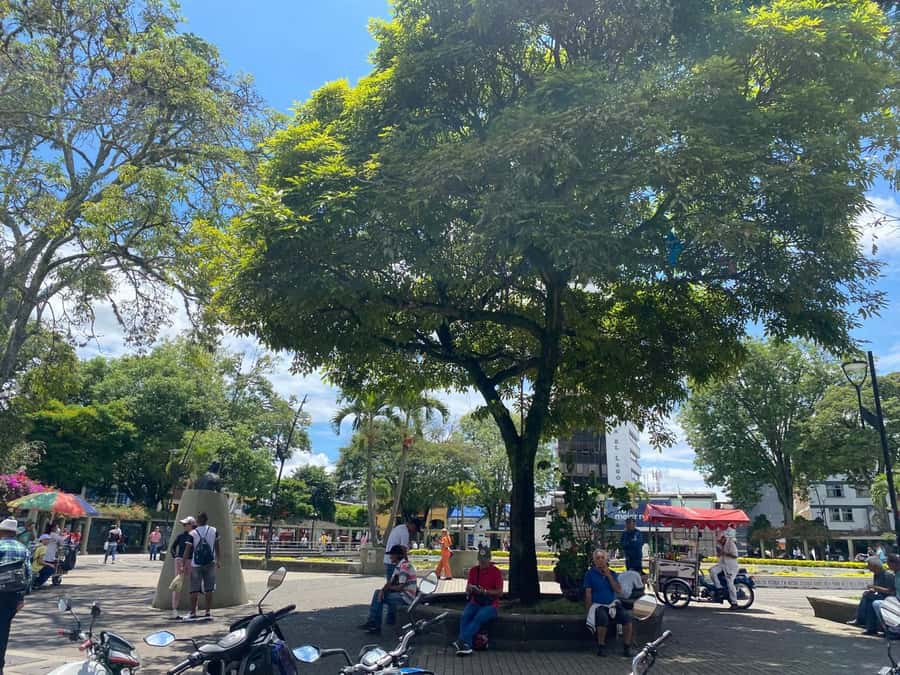 PEREIRA: PRIVATE TOUR OF MAIN SQUARES, HISTORICAL SITES + LOOKOUT POINT - Cerro Canceles viewpoint: where the city’s layout clicks