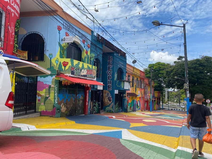 PEREIRA: PRIVATE TOUR OF MAIN SQUARES, HISTORICAL SITES + LOOKOUT POINT - El Lago Park and Claret Church: a quieter change of pace