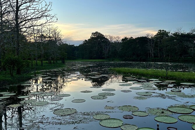 Plan Immersion 5 days 4 nights Leticia Amazonas - Leticia, Amazonas: why this 5-day plan works (and who it’s for)
