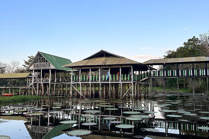 Plan Immersion 5 days 4 nights Leticia Amazonas - Day 2: Amazon reserve travel by boat or dry-season hike, plus Caymanada and a floating-house night