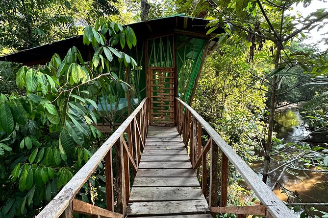 Plan Immersion 5 days 4 nights Leticia Amazonas - Day 3: dawn birds, artisanal fishing, and the return sail to Leticia