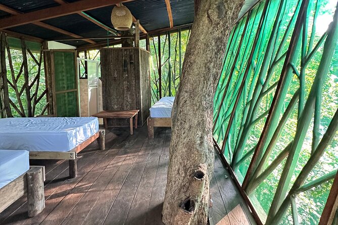 Plan Immersion 5 days 4 nights Leticia Amazonas - Comfort level, group size, and the real physical demands