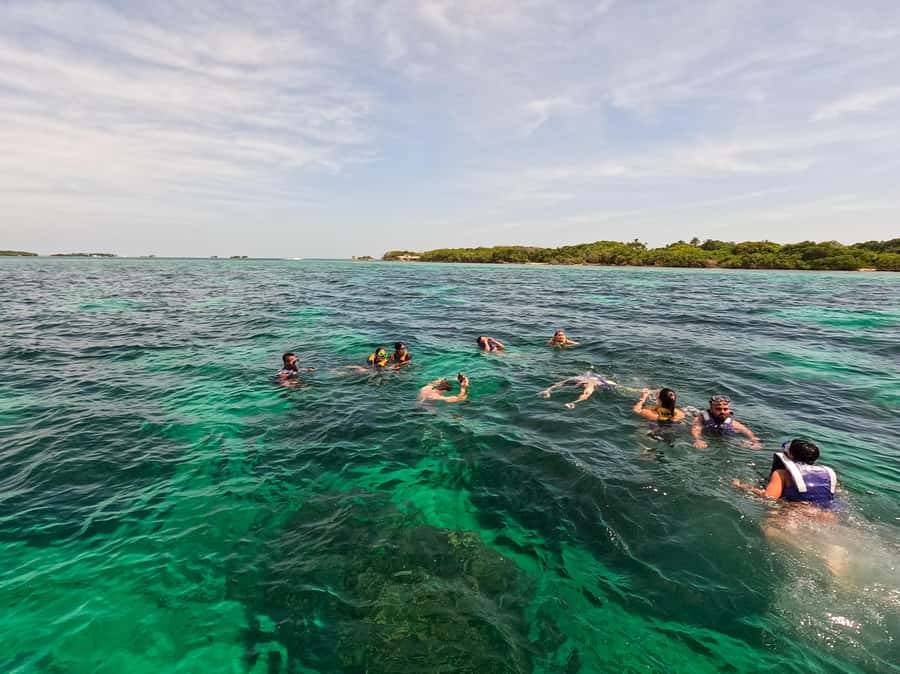 Playa Blanca: Daytour with Snorkeling and Racoon Sighting - Key Points at a Glance