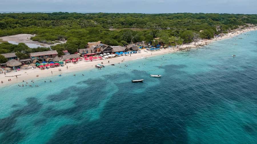 Playa Blanca: Daytour with Snorkeling and Racoon Sighting - 8:00am Pickup to 3:00pm Clock Tower Return: The Real Shape of the Day