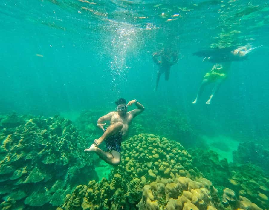 Playa Blanca: Daytour with Snorkeling and Racoon Sighting - Snorkeling at Playa Blanca: Fish You Might See, and the Gear Reality