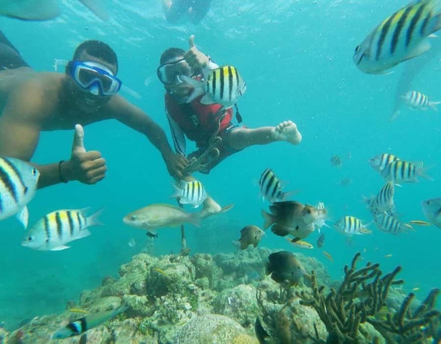 Playa Blanca: Daytour with Snorkeling and Racoon Sighting - Cartagena to Playa Blanca: What the Bus Ride Feels Like