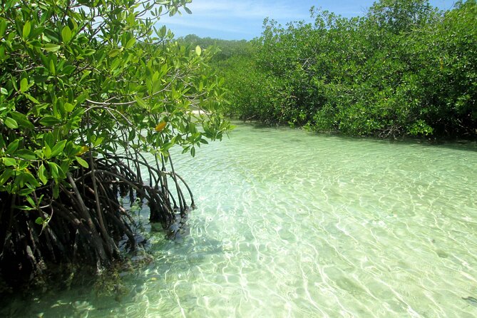 Ponton Tour of the 5 Most Sightseeing Keys of San Andres - Bahia Palito: The Quiet Break That Makes the Day Feel Longer Than It Is