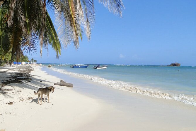 Ponton Tour of the 5 Most Sightseeing Keys of San Andres - Old Point National Park Mangroves: The Nature Finish That Feels Different