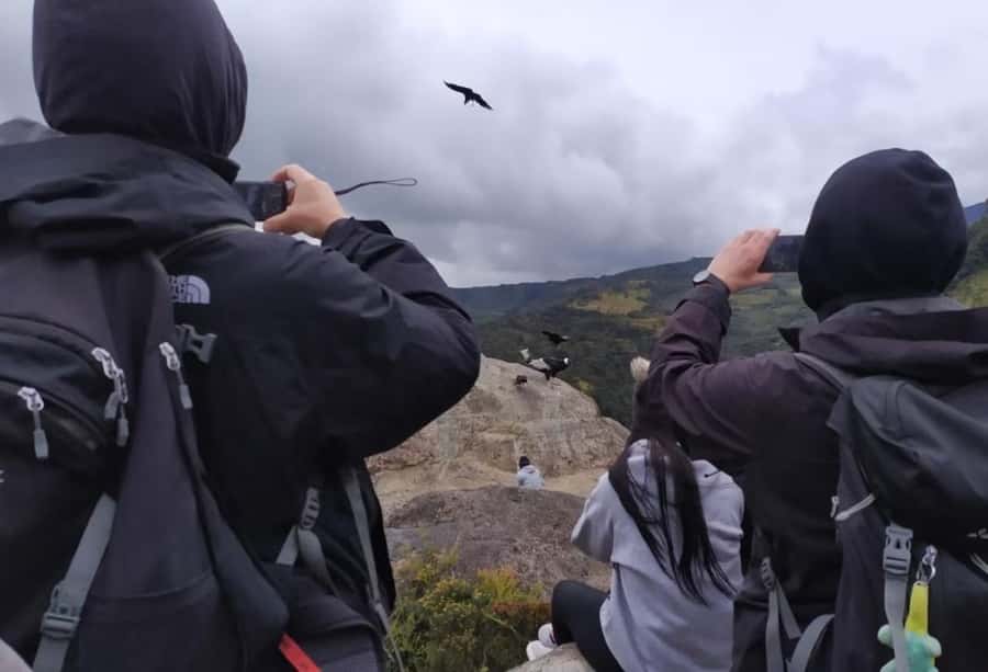 Popayan: Condor Watching in Purace + San Juan Hot Springs - Puracé Condor Stone, San Juan Hot Springs, and Why This Mix Works
