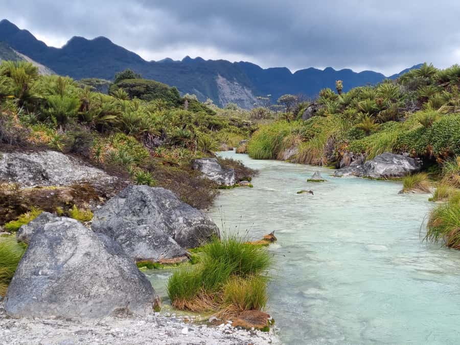 Popayan: Condor Watching in Purace + San Juan Hot Springs - Pozo de los Deseos at Danta: A Break With Local Flavor