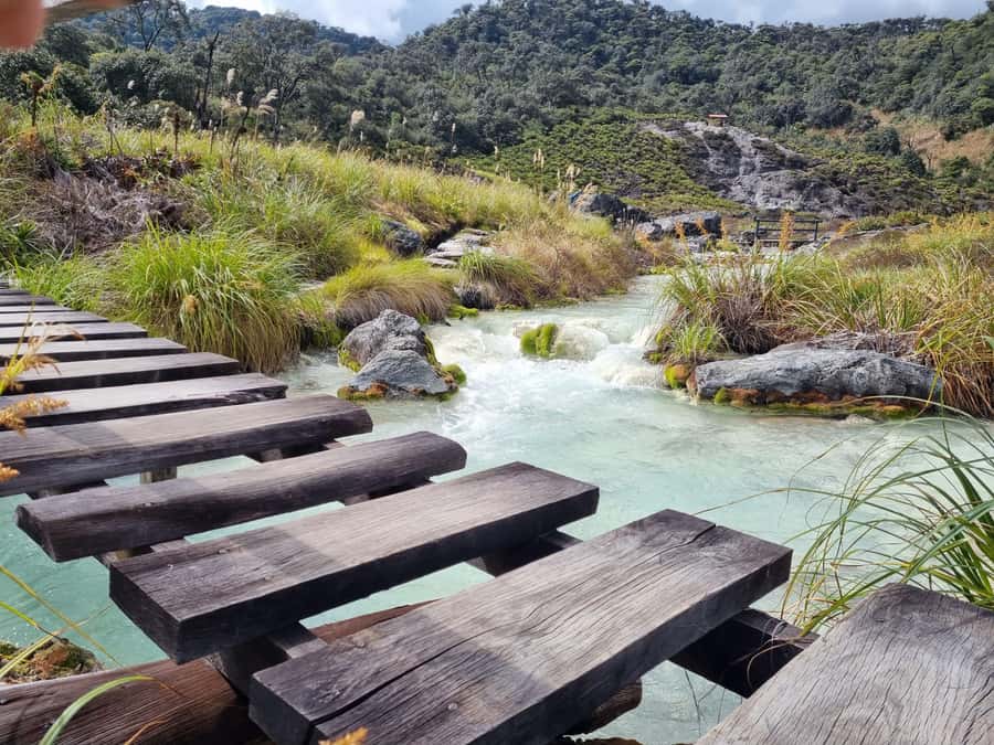 Popayan: Condor Watching in Purace + San Juan Hot Springs - Who This Tour Suits Best (and Who Should Skip It)