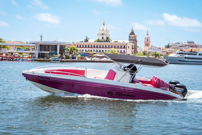 Private 8-Hour Boat Tour to the Rosario and Barú Islands - Price and Value: $625 Per Group for Up to 10