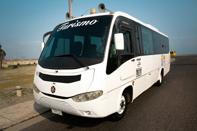 Private Airport Transfers in air conditioning buses - Private air-conditioned transfer that starts at the airport exit