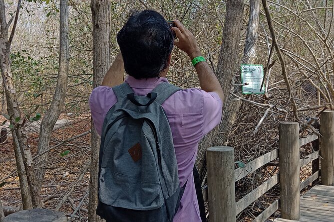 Private and Cultural Experience : National Aviary with Local Guide - Key highlights at a glance