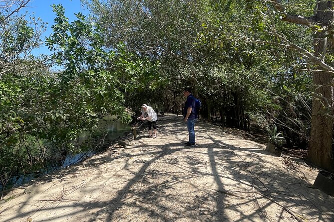 Private and Cultural Experience : National Aviary with Local Guide - Who this private cultural experience fits best
