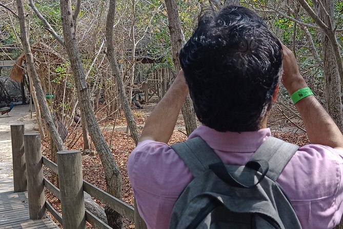 Private and Cultural Experience : National Aviary with Local Guide - Practical tips for a smoother day on Barú
