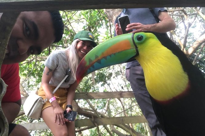 Private Baru Aviary Tour with Lunch Included - Why This Private Bird-and-Boat Combo Works in Cartagena
