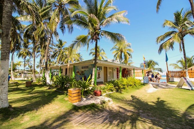 Private Beach Club In Front of Cartagena - Isla Tierra Bomba Beach Club: Why This Works for a 7-Hour Break