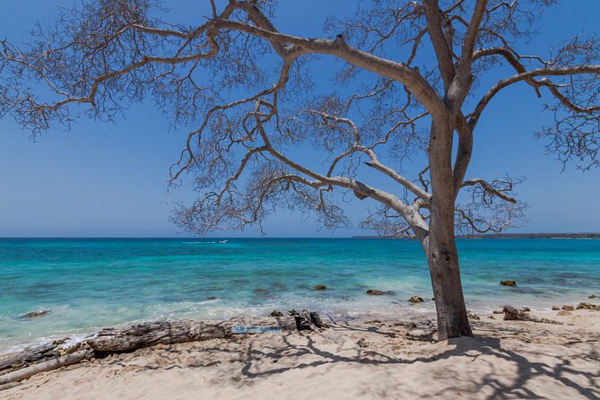 Private Boat Tour of the Rosario Islands - Stop 2: Cholón party island for food, drinks, and the boat-to-boat vibe