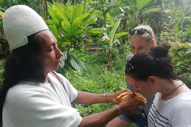 Private Cacao & Taironaka Tour on the Don Diego River - Key things to know before you go