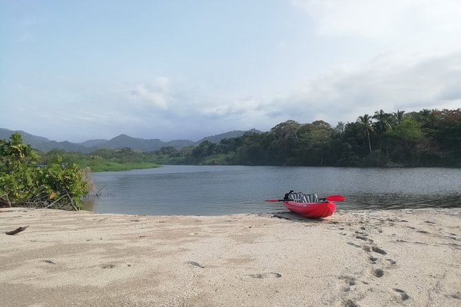 Private Cacao & Taironaka Tour on the Don Diego River - Who this private tour suits best