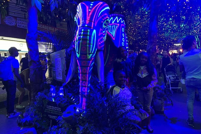 Private Christmas Lights Tour in Medellín! - Only Holiday Season! - Parques del Río: your 40-minute walk through millions of lights