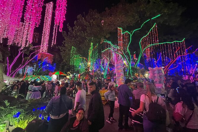 Private Christmas Lights Tour in Medellín! - Only Holiday Season! - Sabaneta Park: music, locals, and the snack-and-stroll feeling