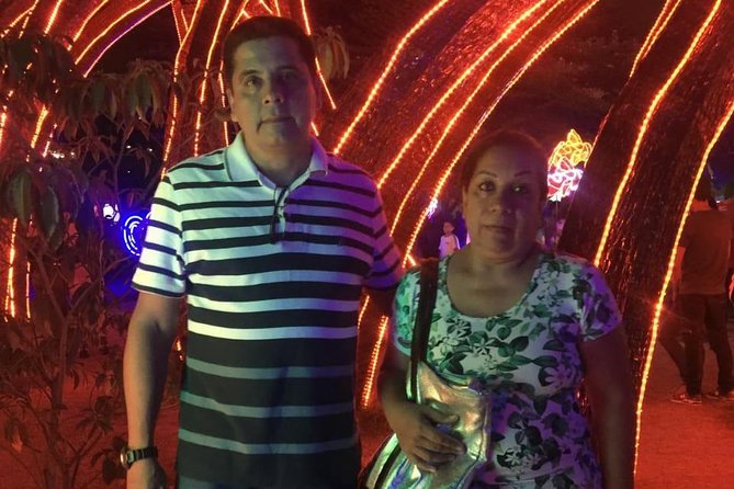 Private Christmas Lights Tour in Medellin - Chiva bus vibes versus private vehicle reality