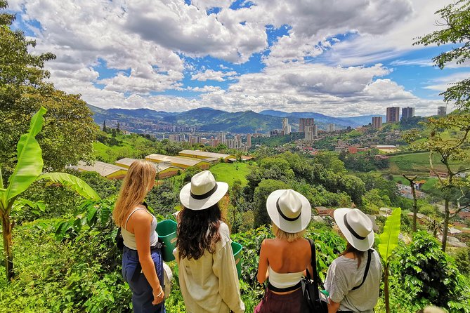 Private Coffee Farm Tour in Medellin: Real Authentic Experience - What makes this coffee farm day feel real around Medellín