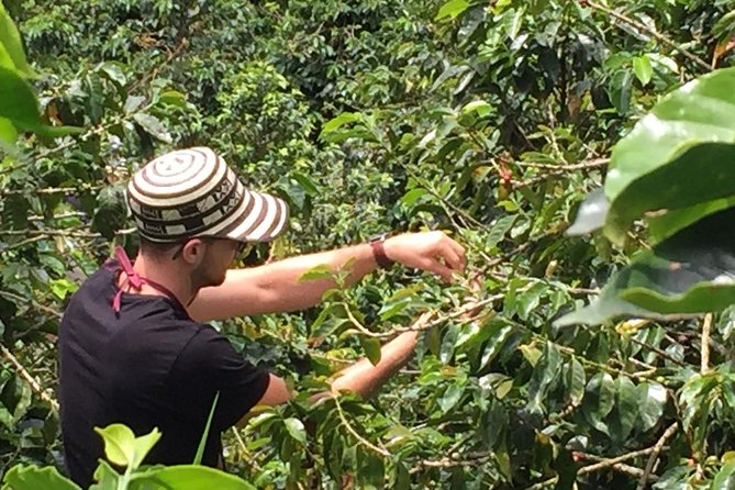 Private Coffee Farm Tour in Medellin: Real Authentic Experience - Small details that make the day easier and more comfortable