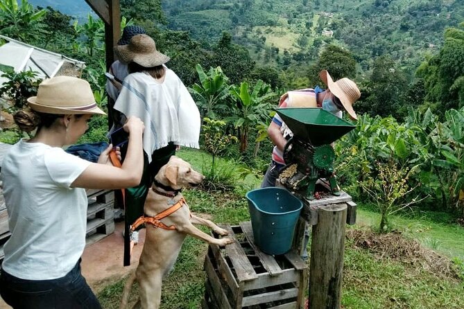Private Coffee Tour in Jardín Antioquia - The morning drive: colonial Jardín, balconies, and mountain air