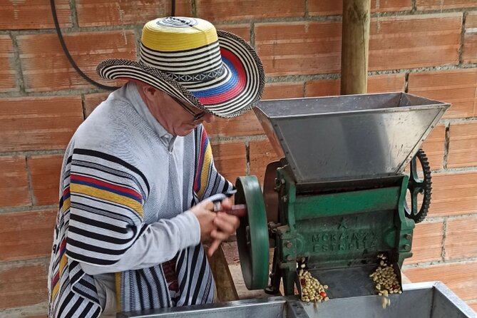 Private coffee tour near Medellín, from bean to cup. - Key highlights that make this tour worth your time