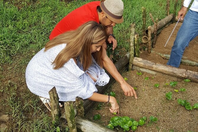 Private coffee tour near Medellín, from bean to cup. - Why a private coffee farm day in Sabaneta feels different